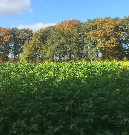 Guest house De Voshaar Laren (Gelderland)