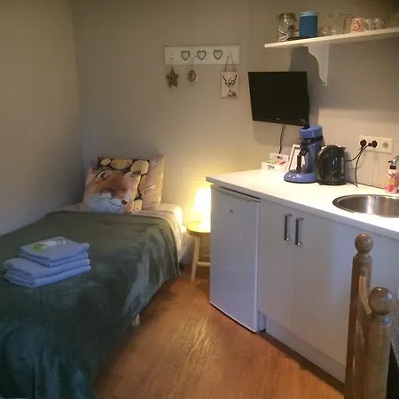 De Voshaar Guest house Laren (Gelderland)