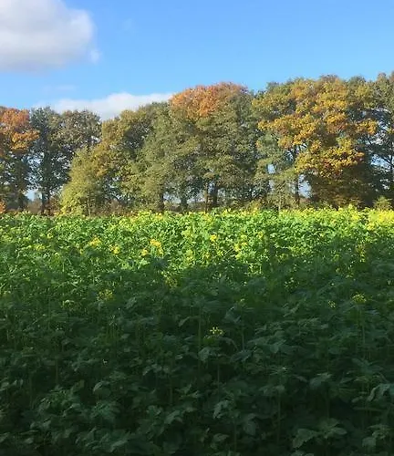 Guest house De Voshaar Laren (Gelderland)