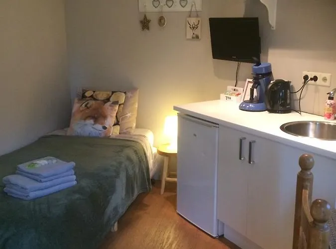 De Voshaar Penzion Laren (Gelderland)